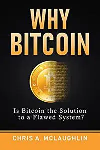 Why Bitcoin: Is Bitcoin the Solution to a Flawed System?