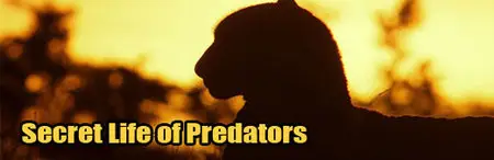 Secret Life of Predators (2013)