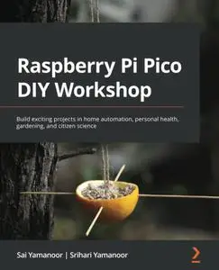 Raspberry Pi Pico DIY Workshop [Repost]