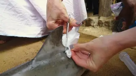 Discovery Channel Shark Week - Extinct or Alive: The Lost Shark (2019)