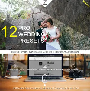 GraphicRiver - 12 Pro Wedding Presets