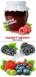 Sweet berry 2