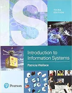 Introduction to Information Systems: People, Technology and Processes (3rd Edition)