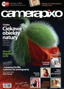 Camerapixo No.6, 2010
