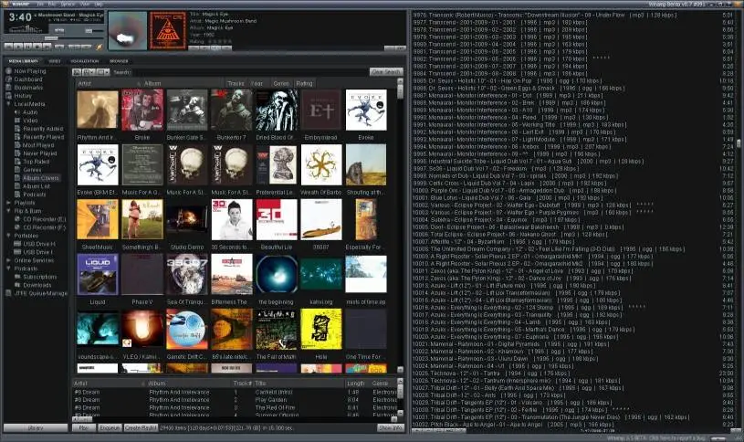 WinAmp 5.5 full beta