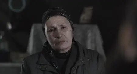 The Search (2014)