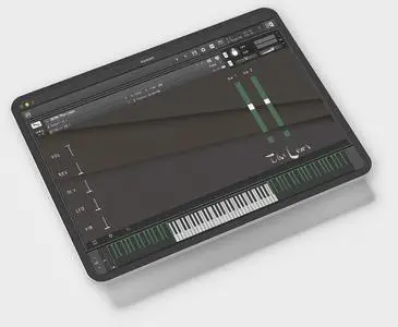 Wrongtools With The Lows KONTAKT