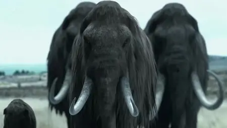 Channel 4 - Woolly Mammoth: The Autopsy (2014)