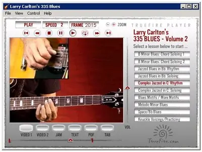 Larry Carlton Master Class 335 Blues (2011) [Repost]