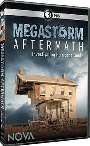 PBS Nova - Megastorm Aftermath (2013)