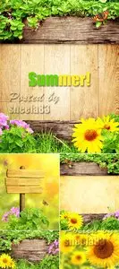 Stock Photo - Summer Nature Backgrounds 2