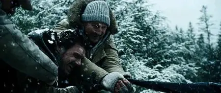 The Grey (2011)