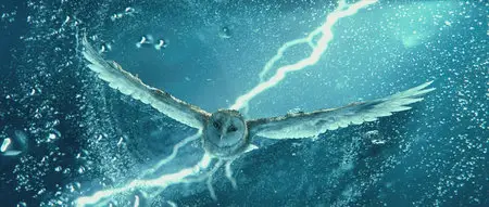 Legend of the Guardians: The Owls of Ga'Hoole / Легенды ночных стражей (2010)
