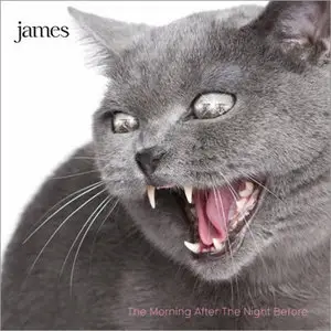 James - The Morning After The Night Before (2010)