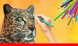 How to Draw a Leopard with Colored Pencils (2023-07)