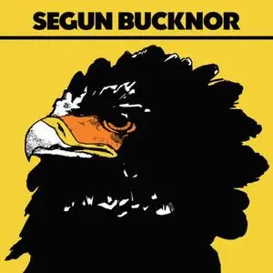 Segun Bucknor - Segun Bucknor (2017)