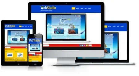 Lauyan TOWeb 5.2.2.655 Studio Edition