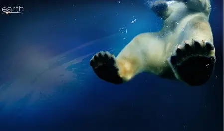 BBC: Earth - The Journey Of A Lifetime