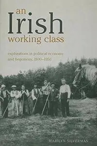An Irish Working Class: Explorations in Political Economy and Hegemony, 1800-1950 (Anthropological Horizons)