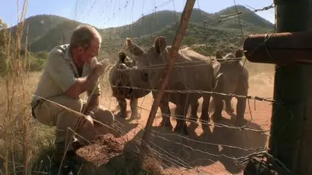 Channel 4 Unreported World - The Black Mambas: Saving the Rhino (2015)