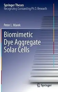 Biomimetic Dye Aggregate Solar Cells [Repost]
