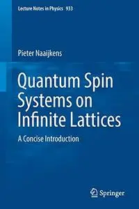 Quantum Spin Systems on Infinite Lattices: A Concise Introduction (Repost)