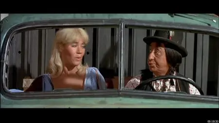 The Ghost in the Invisible Bikini - by Don Weis (1966)