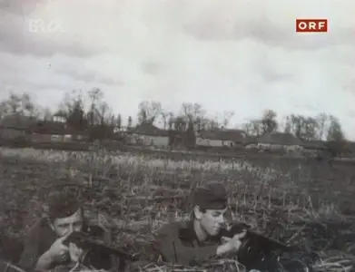 Fotos von der Front über die deutsche Kriegsfotografie im 2. Weltkrieg