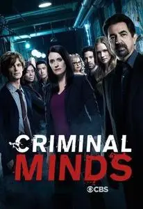 Criminal Minds S04E08