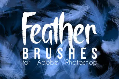CreativeMarket - Real Feather Photoshop Brushes