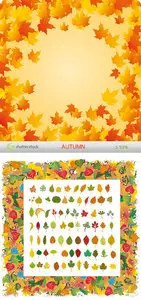 Amazing SS - Autumn