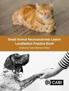 Small Animal Neuroanatomic Lesion Localization Practice Book