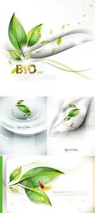 Green Leaves Backgrounds Vector