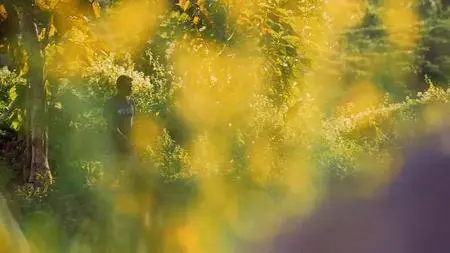 Arte - Asia Secret Lives Hidden Places: Series 1 (2015)