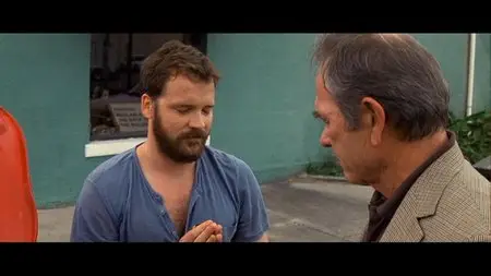 In the Electric Mist - Nell'occhio del Ciclone (2009)