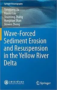 Wave-Forced Sediment Erosion and Resuspension in the Yellow River Delta