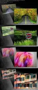 Color Correction with Adobe Camera Raw: Practical Techniques