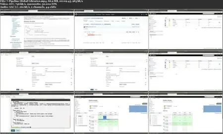 Certified Jenkins Engineer