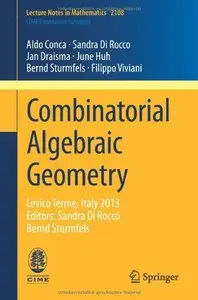 Combinatorial Algebraic Geometry (repost)