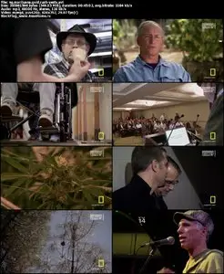 National Geographic Marijuana Gold Rush (2012)