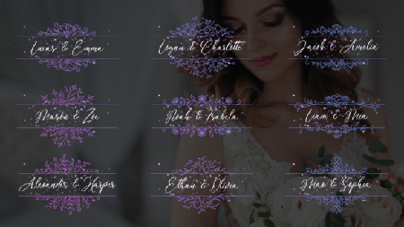 Wedding Titles - Horizontal Frames 51049650