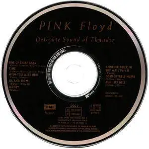 Pink Floyd - Delicate Sound Of Thunder (1988) [UK 2nd Issue] 2CD