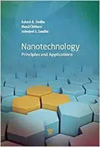 Nanotechnology: Principles and Applications