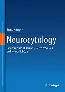 Neurocytology: Fine Structure of Neurons, Nerve Processes, and Neuroglial Cells