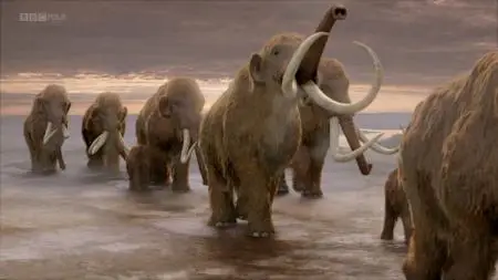BBC - Woolly Mammoth: Secrets from the Ice (2012)