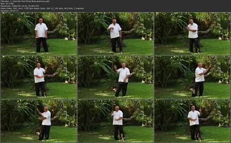 Learn Advanced Qigong to Give You Instant Power & Strength