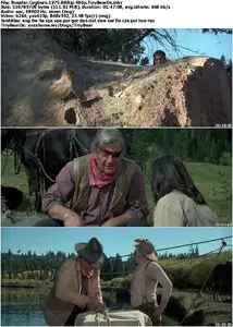 Rooster Cogburn (1975)