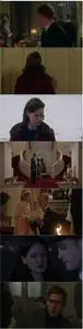 Despite the Falling Snow (2016)
