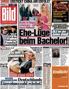 Bild Zeitung vom 15 Januar2013