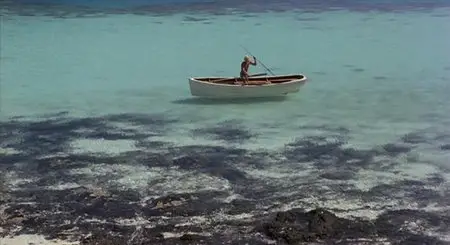 The Blue Lagoon (1980)
